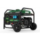 Generador Natura 3000W 230V - Genergy